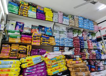 Paws-n-furs-Pet-stores-Khar-mumbai-Maharashtra-2