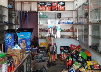 Paws-pet-store-Pet-stores-Basanti-colony-rourkela-Odisha-2