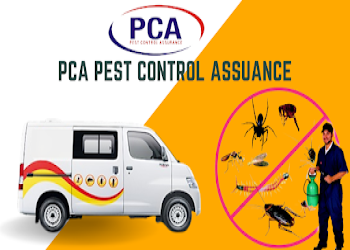 Pca-pest-control-assurance-Pest-control-services-Guru-teg-bahadur-nagar-jalandhar-Punjab-2