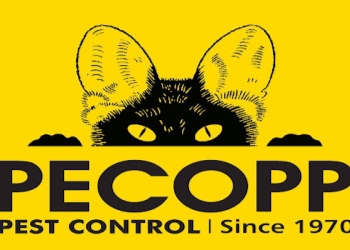 Pecopp-pest-control-services-Pest-control-services-Worli-mumbai-Maharashtra-1