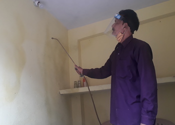 Perfect-pest-control-Pest-control-services-Ayodhya-nagar-bhopal-Madhya-pradesh-2