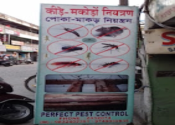 Perfect-pest-control-Pest-control-services-Salugara-siliguri-West-bengal-1