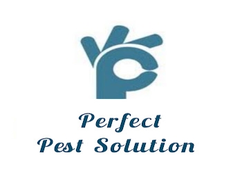 Perfect-pest-control-solutions-Pest-control-services-Esplanade-kolkata-West-bengal-1