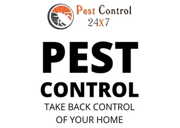 Pest-control-24x7-Pest-control-services-T-nagar-chennai-Tamil-nadu-1