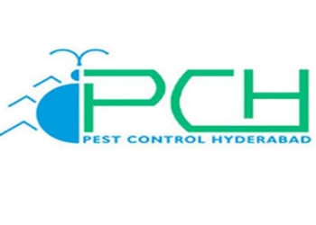 Pest-control-hyderabad-Pest-control-services-Banjara-hills-hyderabad-Telangana-1