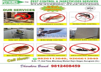 Pest-control-insecticides-services-Pest-control-services-Gurugram-Haryana-2