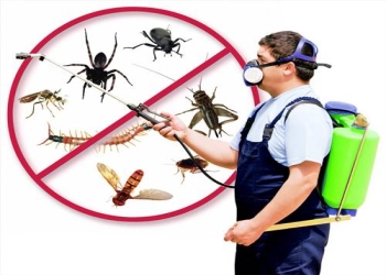 Pest-control-Pest-control-services-Ludhiana-Punjab-1