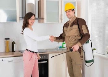 Pest-control-pro-delhi-ncr-247-pest-control-services-Pest-control-services-Shahdara-delhi-Delhi-1