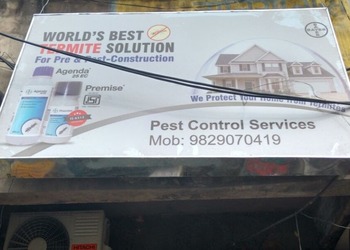 Pest-control-services-Pest-control-services-Lal-kothi-jaipur-Rajasthan-1