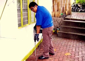 Pest-control-services-Pest-control-services-Shastri-nagar-jaipur-Rajasthan-2