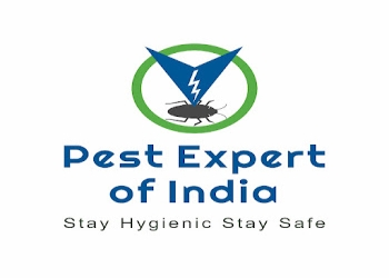 Pest-expert-india-Pest-control-services-Pimpri-chinchwad-Maharashtra-1