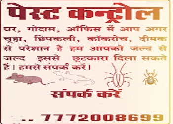 Pest-free-services-Pest-control-services-Raipur-Chhattisgarh-2