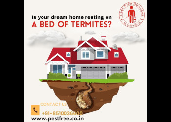 Pest-free-services-Pest-control-services-Rajendra-nagar-ghaziabad-Uttar-pradesh-2