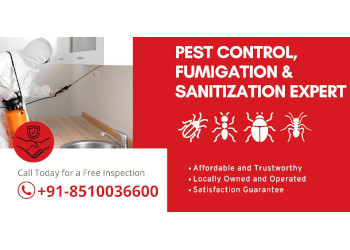 Pest-free-services-Pest-control-services-Sector-18-noida-Uttar-pradesh-1