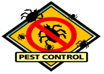 Pest-kill-india-pvt-ltd-Pest-control-services-Esplanade-kolkata-West-bengal-1