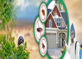 Pest-kill-india-pvt-ltd-Pest-control-services-Esplanade-kolkata-West-bengal-2