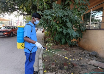 Pesterad-services-Pest-control-services-Armane-nagar-bangalore-Karnataka-2