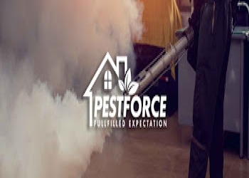 Pestforce-pest-control-Pest-control-services-Esplanade-kolkata-West-bengal-2