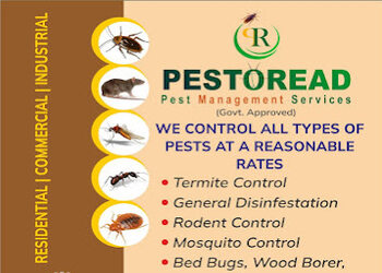 Pestoread-pest-management-services-Pest-control-services-Kharadi-pune-Maharashtra-1