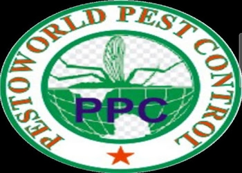 Pestoworld-pest-control-Pest-control-services-Kalkaji-delhi-Delhi-1