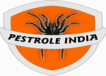 Pestrole-india-Pest-control-services-Jankipuram-lucknow-Uttar-pradesh-1