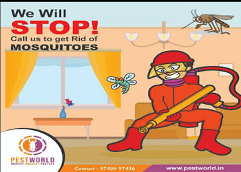 Pestworld-Pest-control-services-Nagarbhavi-bangalore-Karnataka-1