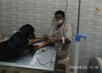 Pet-care-clinic-Veterinary-hospitals-New-rajendra-nagar-raipur-Chhattisgarh-3