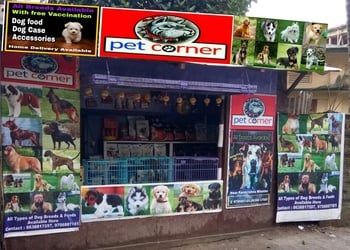 Pet-corner-Pet-stores-Silchar-Assam-1