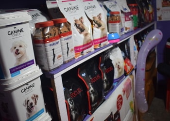 Pet-corner-Pet-stores-Silchar-Assam-2