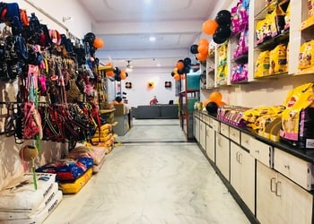 Pet-o-mania-Pet-stores-Chinhat-lucknow-Uttar-pradesh-2