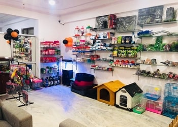 Pet-o-mania-Pet-stores-Lucknow-Uttar-pradesh-3