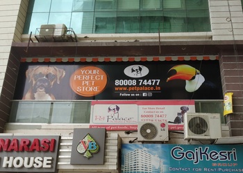 Pet-palace-Pet-stores-Surat-Gujarat-1