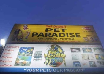 Pet-paradise-Pet-stores-Guntur-Andhra-pradesh-1