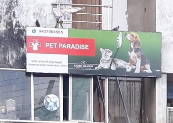 Pet-paradise-Pet-stores-Jayadev-vihar-bhubaneswar-Odisha-1