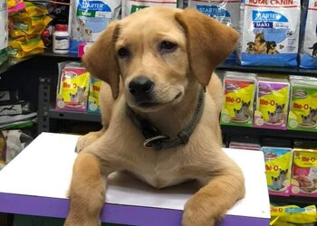 Pet-pluz-Pet-stores-Trichy-junction-tiruchirappalli-Tamil-nadu-3