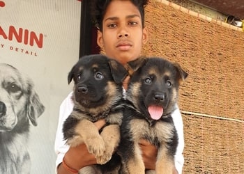 Pet-point-Pet-stores-Bilaspur-Chhattisgarh-3