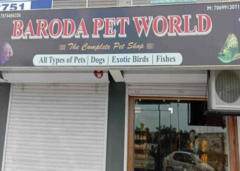 Pet-world-Pet-stores-Tarsali-vadodara-Gujarat-1