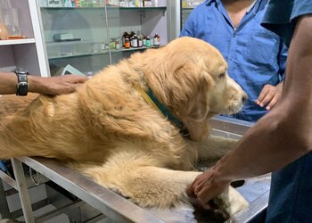 Pets-clinic-Veterinary-hospitals-Tarabai-park-kolhapur-Maharashtra-2