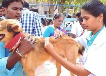 Pets-clinic-Veterinary-hospitals-Thiruvananthapuram-Kerala-2