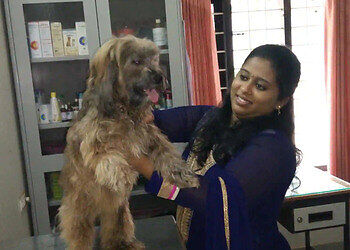 Pets-clinic-Veterinary-hospitals-Thiruvananthapuram-Kerala-3