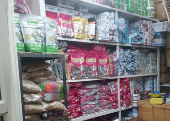 Pets-corner-Pet-stores-Aurangabad-Maharashtra-3