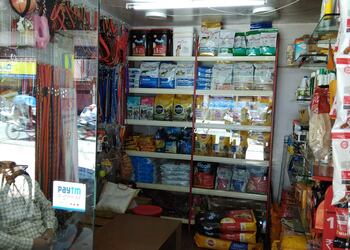 Pets-gallery-Pet-stores-Jabalpur-Madhya-pradesh-3