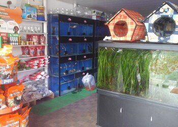 Pets-in-the-city-Pet-stores-Kochi-Kerala-3