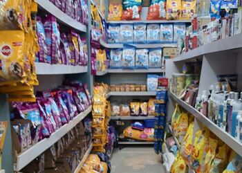 Pets-mall-Pet-stores-Kozhikode-Kerala-2