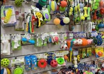 Pets-value-Pet-stores-Bhopal-Madhya-pradesh-3