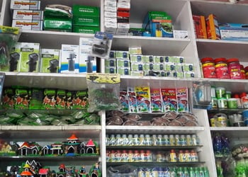 Pets-zone-Pet-stores-Balasore-Odisha-3