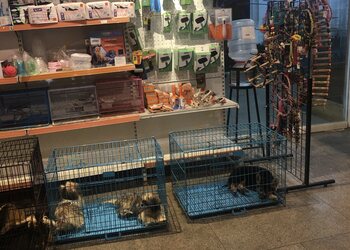 Petz-club-Pet-stores-Thiruvananthapuram-Kerala-2