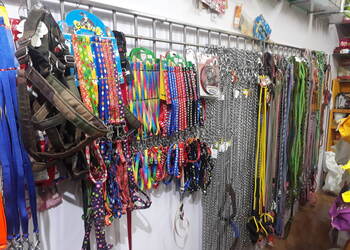 Petz-era-Pet-stores-Adhartal-jabalpur-Madhya-pradesh-3