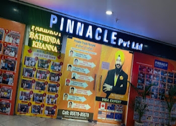 Pinnacle-education-immigration-Educational-consultant-Model-town-jalandhar-Punjab-2