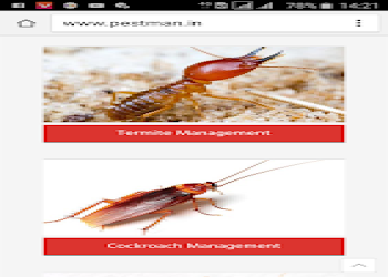 Pml-pest-control-services-Pest-control-services-Hampankatta-mangalore-Karnataka-2